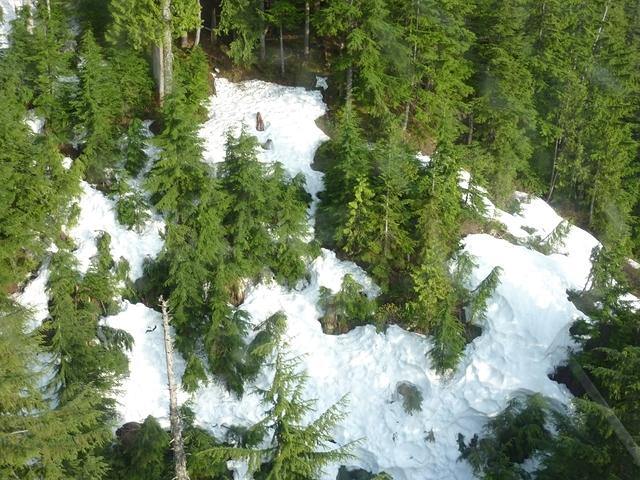 Grouse Mountain 2