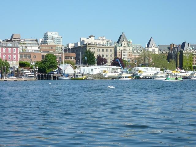 Victoria-Harbour-01