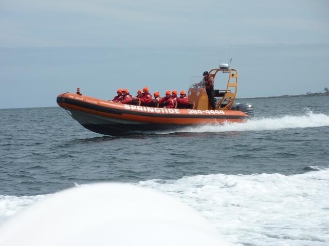 Whale Watching RubberDuck