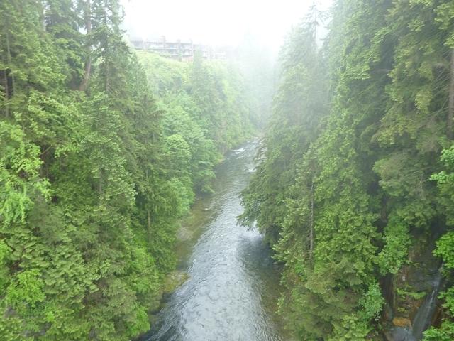 Capilano-Bridge-view-02