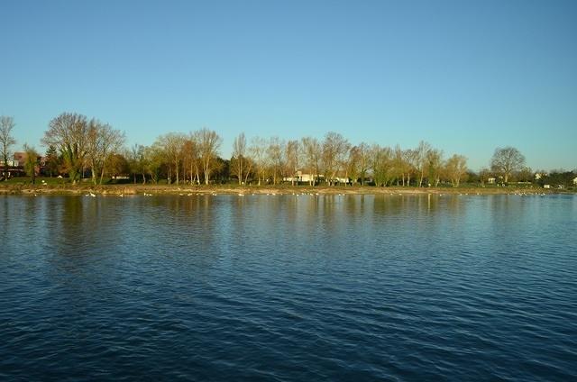 Breisach Views