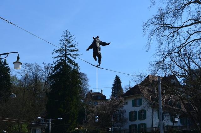 Bern Acrobat Bear