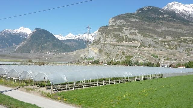 Rhone Valley