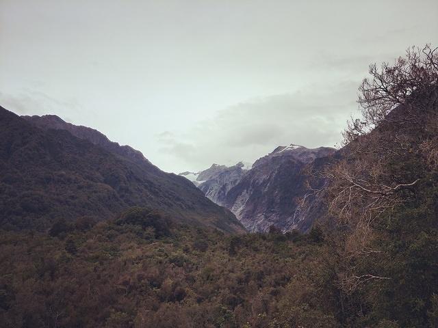 Fox Glacier