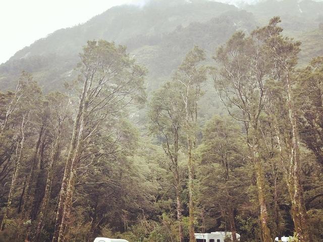 Milford Sound