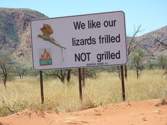 Lizard Sign