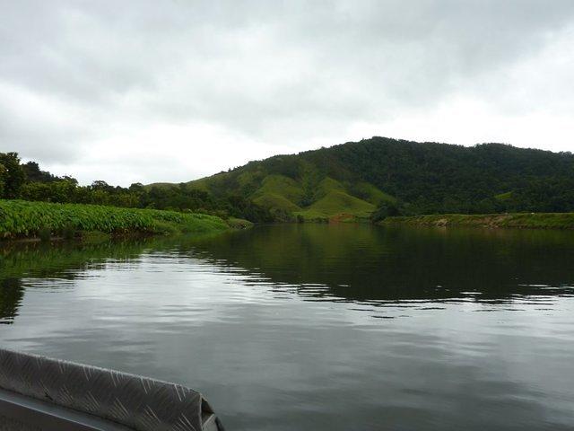 Daintree River 01