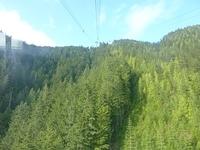 Grouse Mountain 1