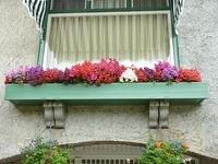 Window Box