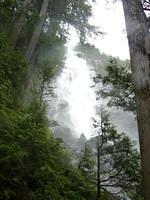 Shannon Falls 4