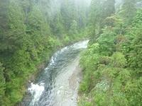 Capilano-Bridge-view-01