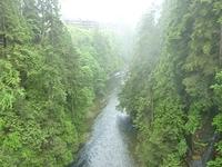 Capilano-Bridge-view-02