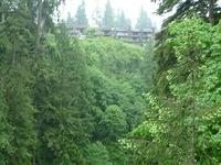 Capilano-Bridge-view-04