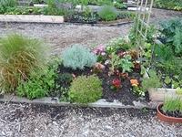 Davie-Village-Community-Garden-05