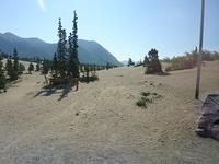 Carcross Desert01