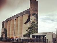 Karoonda Silo