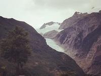 Fox Glacier