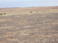 Oodnadatta Track 09