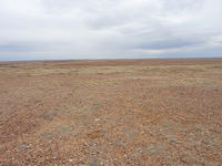 Oodnadatta Track 14