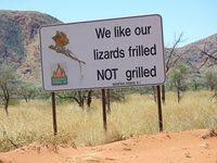 Lizard Sign