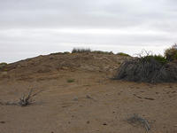 William-Creek-to-Marree