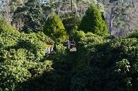 Cataract Gorge 04