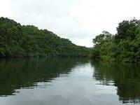 Daintree River 02